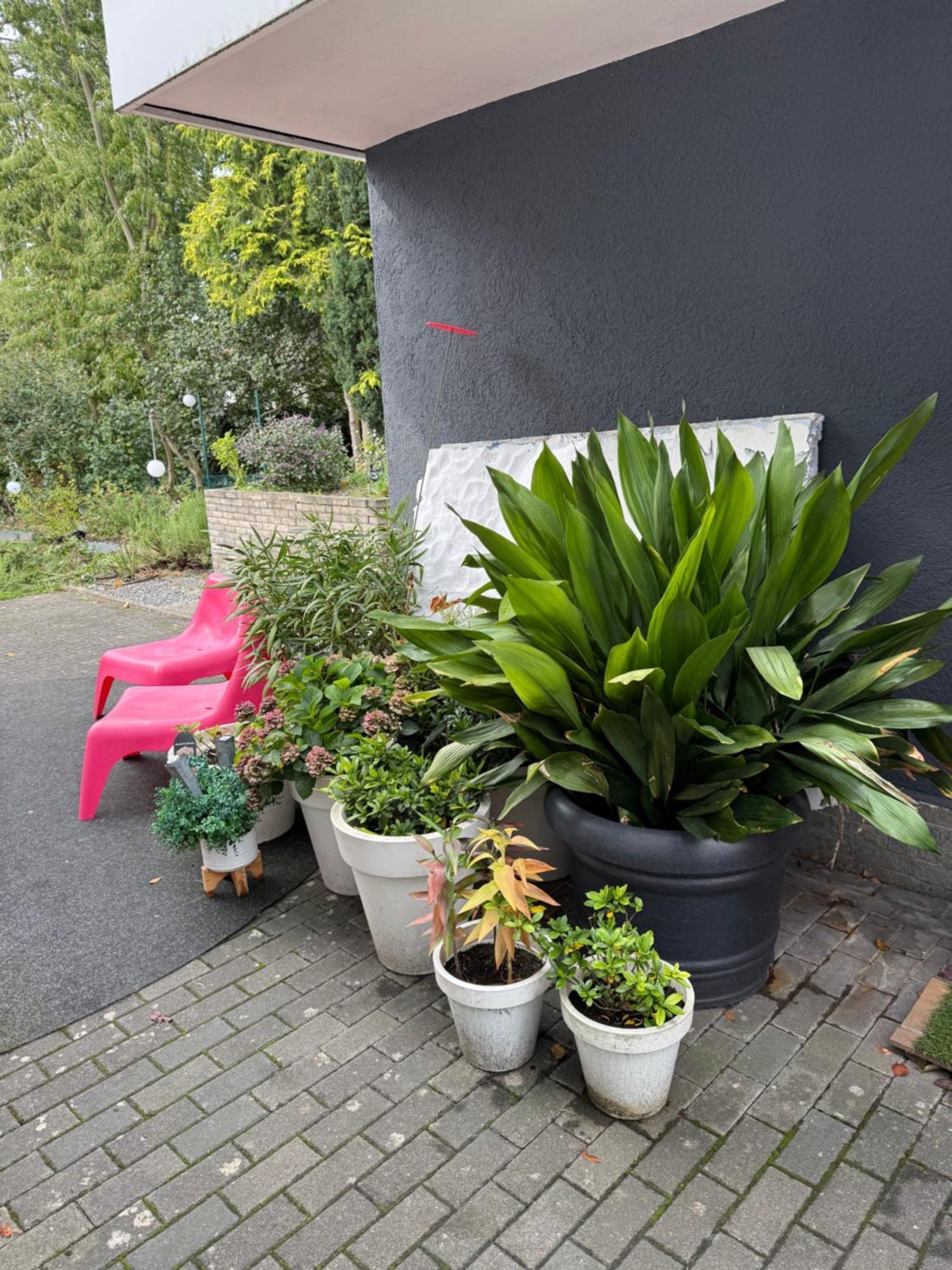 Modernes 1 Zimmerapartment Nahe Frankfurt Am Main Heusenstamm Esterno foto